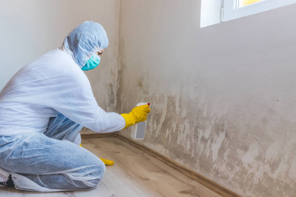 Hvac And Air Duct Mold Remediation inspection of HVAC system in Middlesex