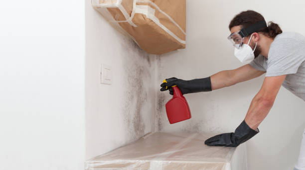Attic Mold Remediation treatment on roof deck in Middlesex