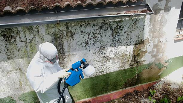 Clearance testing in Middlesex